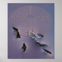 Schmetterlinge über Labyrinth Poster