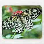 Schmetterlings-Blumen Mousepads