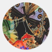 Schmetterlings-Profil durch SRF Stickers