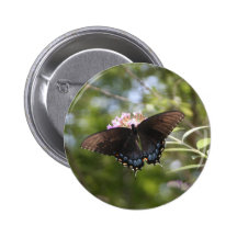 Schmetterlingsknopf Buttons