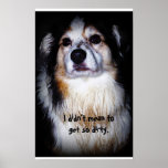 Schmutziger Hund - Australier mit schlammigem Pelz Posterdrucke