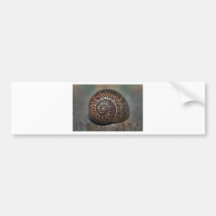 Schnecke-Muschel Auto Aufkleber