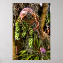 Schnecke-Pflanze Plakatdrucke