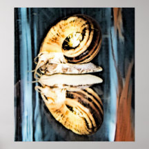 Schneckefotodruck durch Randomwhat Posterdrucke
