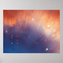 Schneckennebelfleck Plakatdrucke