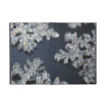 Schnee 1