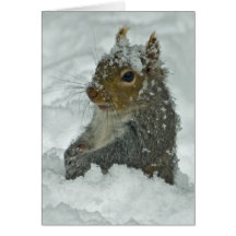 Schnee-Eichhörnchen Grußkarte