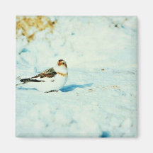 Schnee-Flagge Magnete