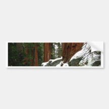 Schnee im Holz Autoaufkleber