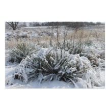 Schnee-Land 3 Fotos