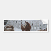 Schnee-Pferd, frohe Weihnachten von Massachusetts! Autosticker