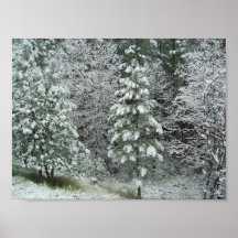 Schnee-Szene in Foresthill CA Plakat