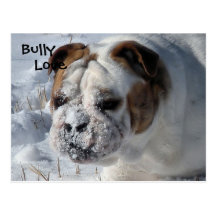 Schnee-Tyrann - englische Bulldogge Postkarte