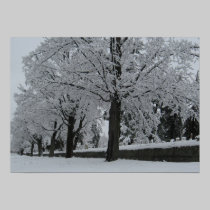 Schneeahorne poster