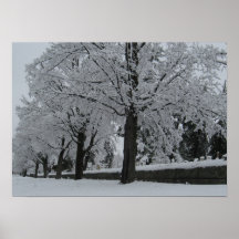 Schneeahorne Plakat
