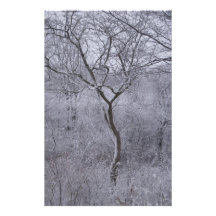 Schneebedeckte Flora und Bäume in im Hinterland Ne Personalisiertes Druckpapier