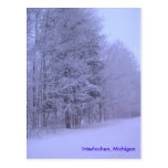 schneebedecktes dayz, Interlochen, Michigan Postkarte