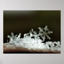 Schneeflocke-Blizzard 2009 Posterdrucke