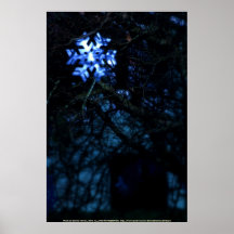 Schneeflocke im Blau Plakate