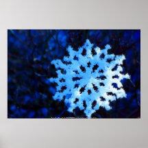 Schneeflocke in Blau 5 Plakate