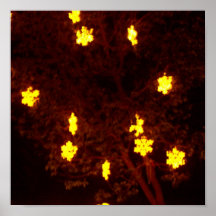 Schneeflocke-Sterne Posterdrucke