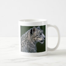 Schneeleopard, Hauptschuß Tee Tasse