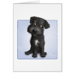 Schnoodle (Schwarzes) Karten