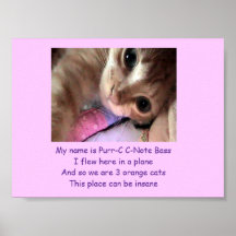 Schnurren-c c die Intro-Plakat Anmerkung