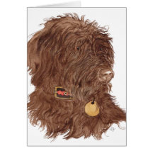 Schokolade Labradoodle Xena Gruß-Karten