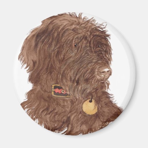 Schokolade Labradoodle Xena Magnet Magnete