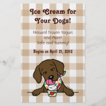 Schokoladen-Labrador-Eiscreme für HundeFlyer