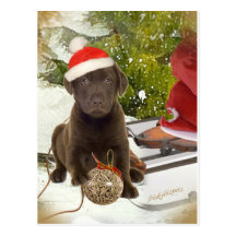 Schokoladen-Labrador-Liebe-Weihnachtskarten Postkarte