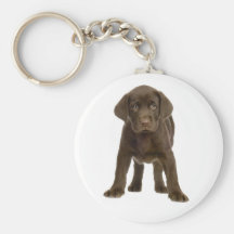 Schokoladen-Labrador retriever-Hündchen Keychain Schlüsselbänder
