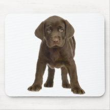 Schokoladen-Labrador retriever-Hündchen Mousepad