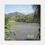 Schöne Bali-Reispaddys magnete
