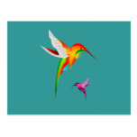 Schöne Kolibris (Colibri) Postkarten