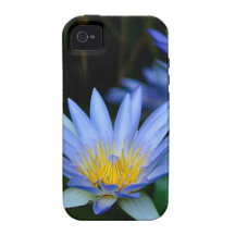 Schöne Lotos-Blumen und -bedeutung iPhone 4/4S Hüllen