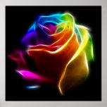 Schöne Rose der Farben No2 Posterdruck