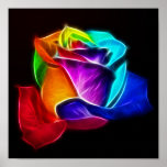 Schöne Rose von Farben 5 Posterdrucke
