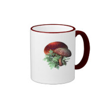 Schöne rote Pilze Kaffeehaferl