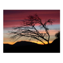 Schöne Sonnenuntergangpostkarte