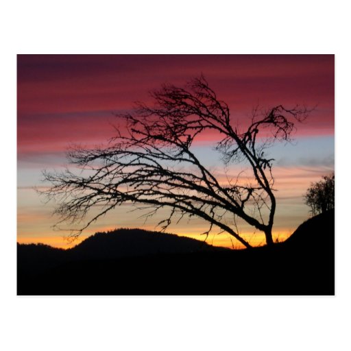 Schöne Sonnenuntergangpostkarte