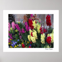 Schöner Garten-Plakat-Druck