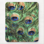 Schöner Pfau Mousepad
