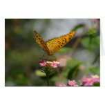Schöner Schmetterling Karte