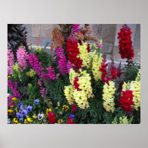 Schönes Garten-Plakat