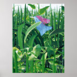 Schönheit und die Tiere Posterdruck