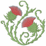 Schottische Distel