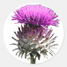 Schottische Distel Runder Aufkleber