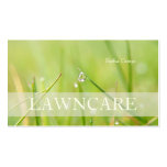 Schriftart der PixDezines Rasen-Sorgfalt/gardener/ Visitenkartenvorlage